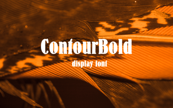 Contour Bold Typeface for Web Design